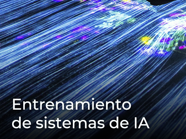 ENTRENAMIENTO DE SISTEMAS DE IA